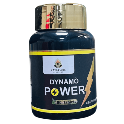 Dynamo Power